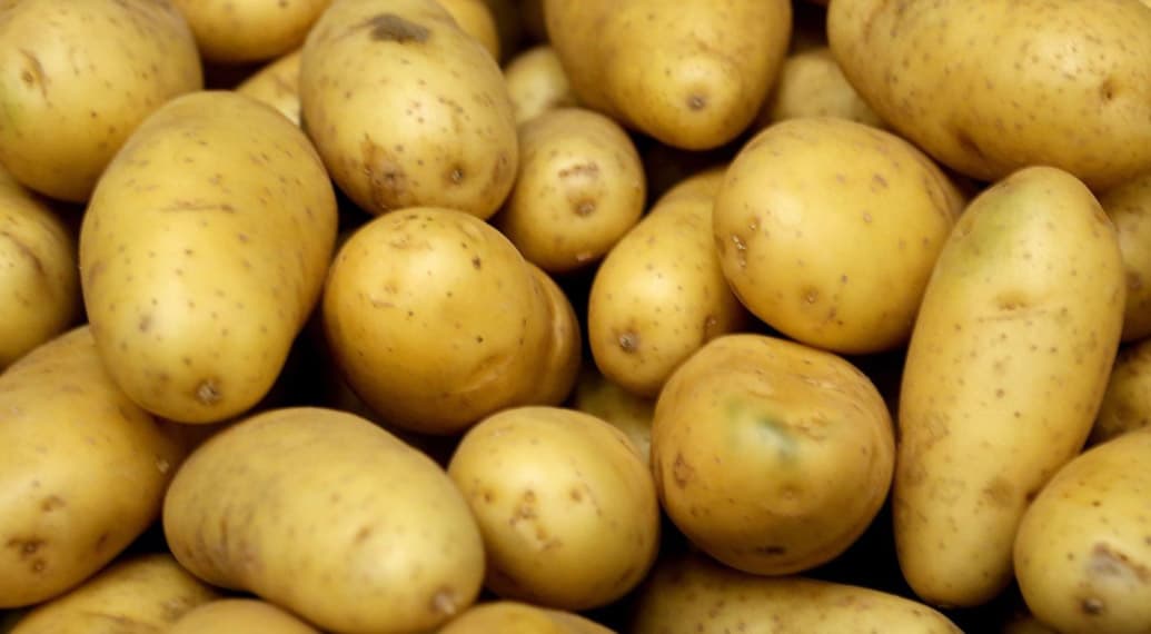 COMPS le canton a une sacrée patate Var Entreprises