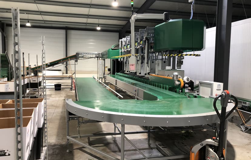 nouvelle machine à empaqueter les fleurs